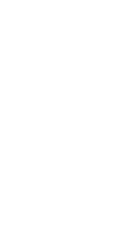 Escudo UCD Burladés